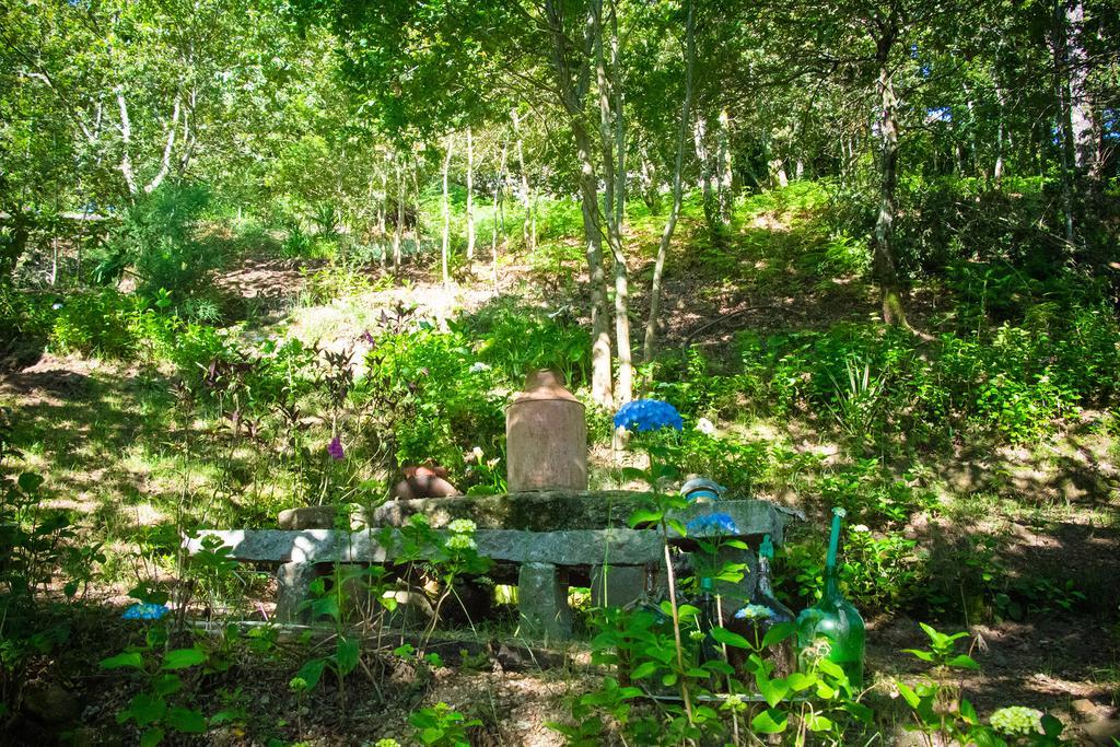 Farm stay Casa De Chouselas Vilela (Braga)