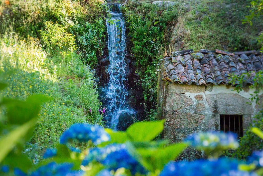 Farm stay Casa De Chouselas *